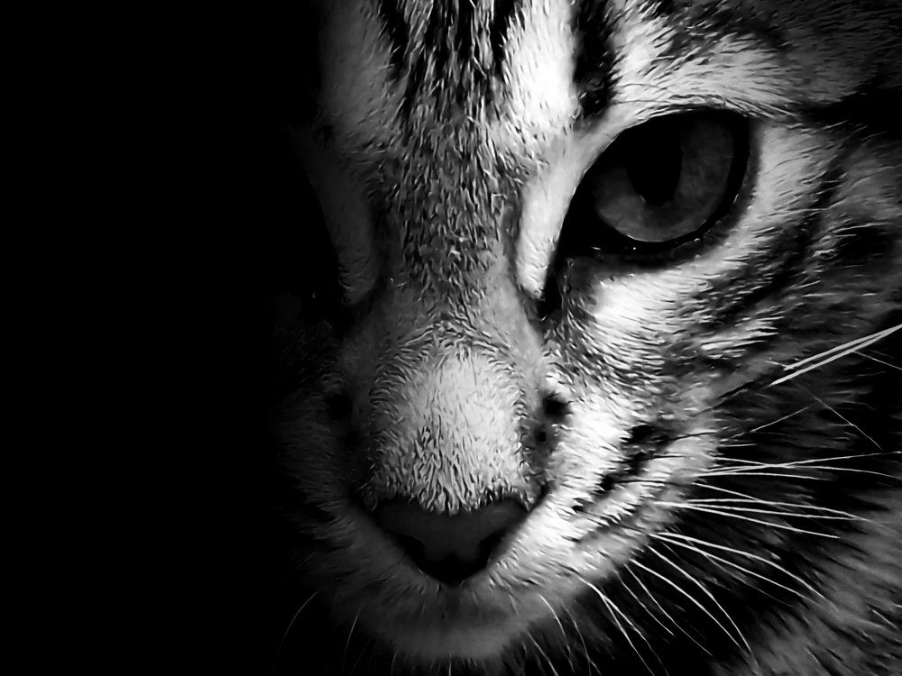 Photograph by Сергей Жиркевич