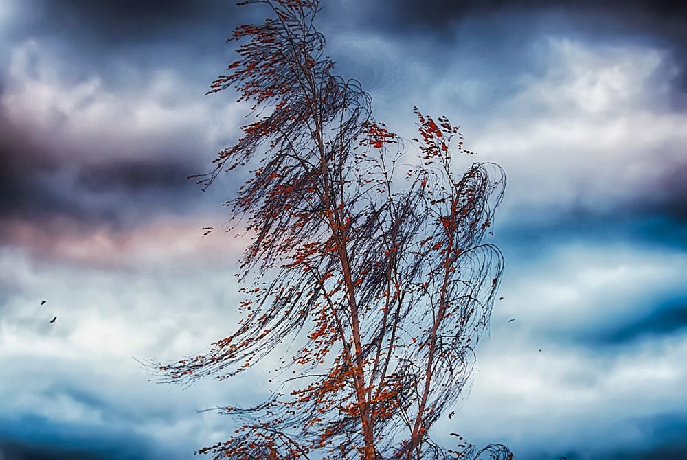 Photograph by Александр Вольхин