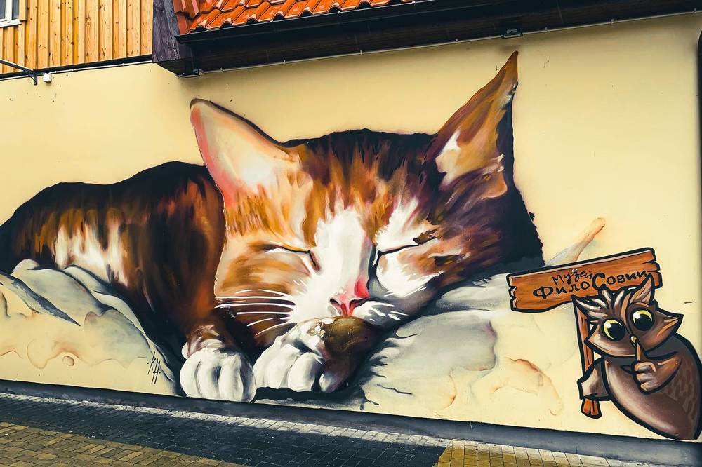 Photograph by Никита Борзов