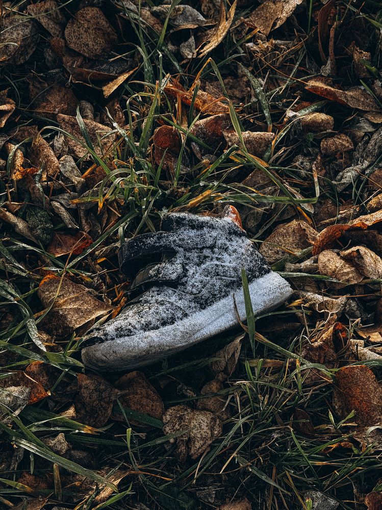 Photograph by Alina Polomoshnova