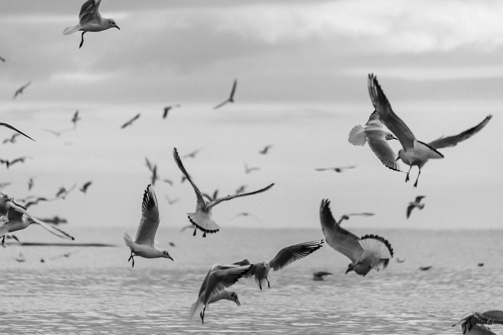 Photograph by Оксана Богачёва