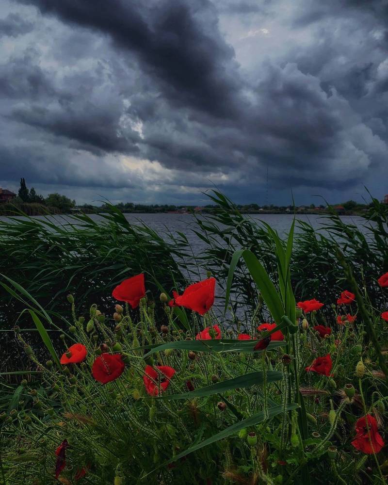 Photograph by Мария Василенко