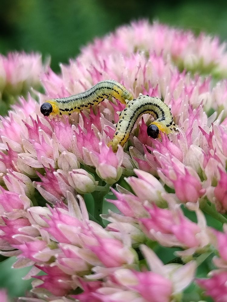 Photograph by Татьяна