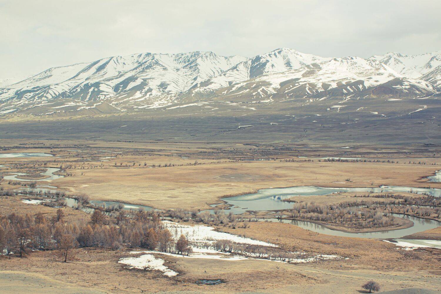 Фотография #11295832