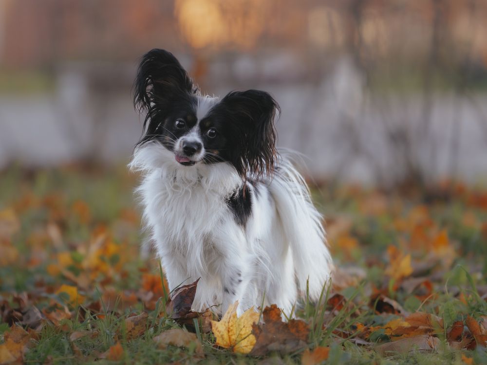 Photograph by Мария Клещенко