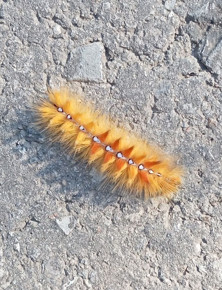 Photograph by Елена Коробченко