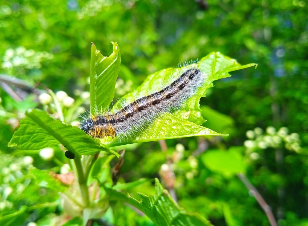 Photograph by Наталья Сорокина