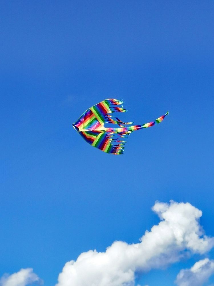 Photograph by Наталия Питолина