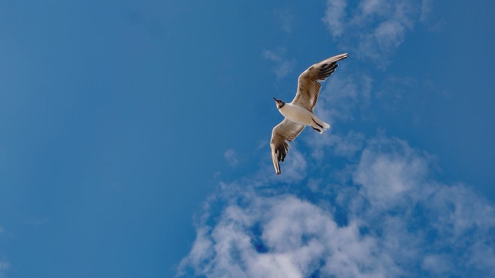 Photograph by Наталия Питолина