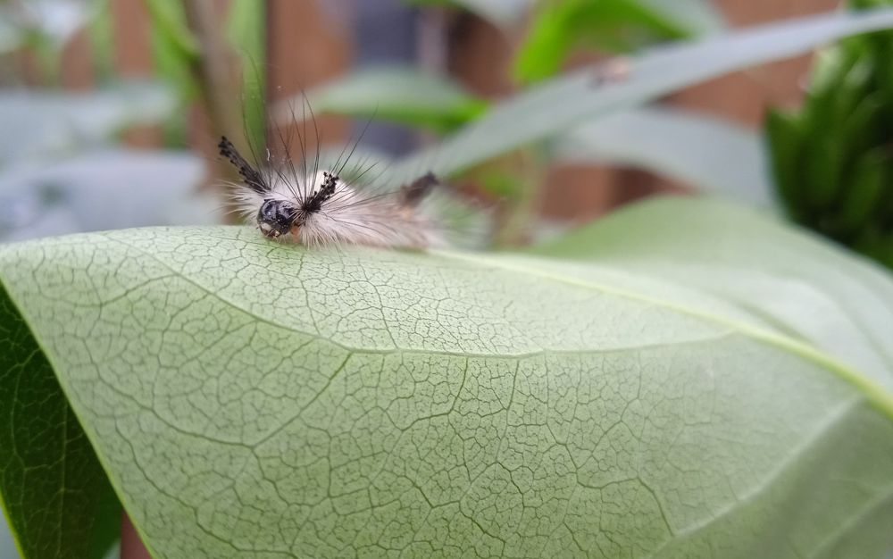 Photograph by Наталья Сорокина