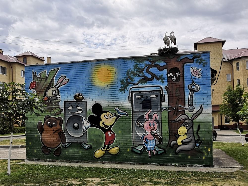 Фотография автора Вера