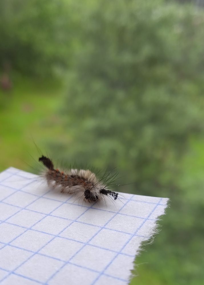 Photograph by Наталья Сорокина