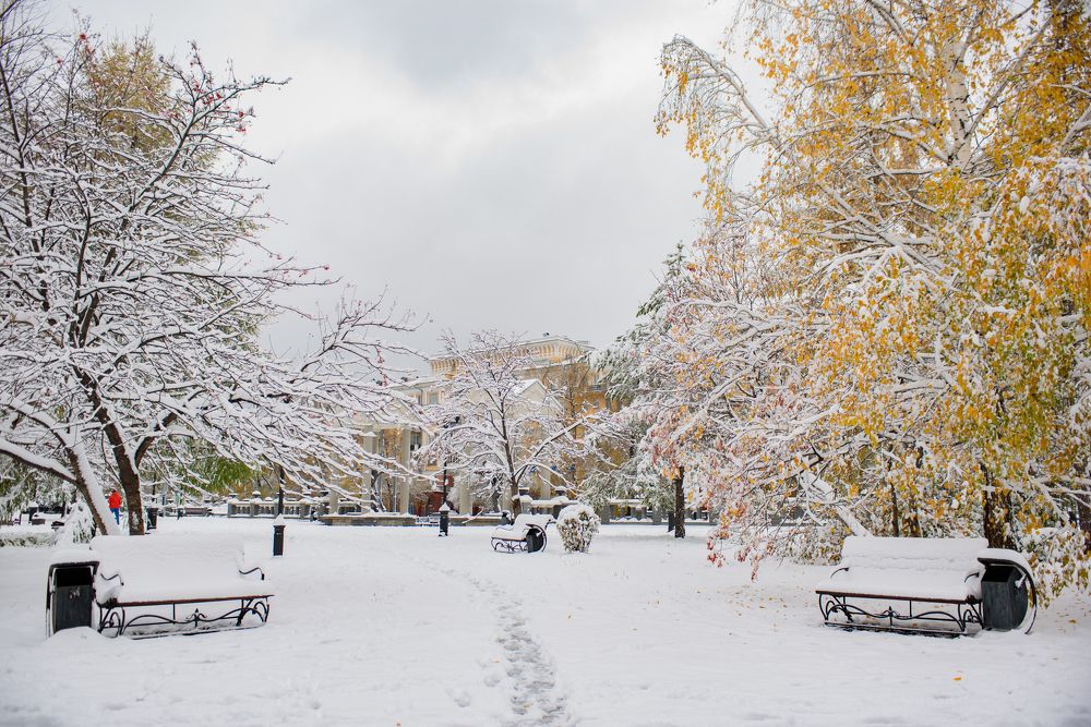 Photograph by Михаил Соколов