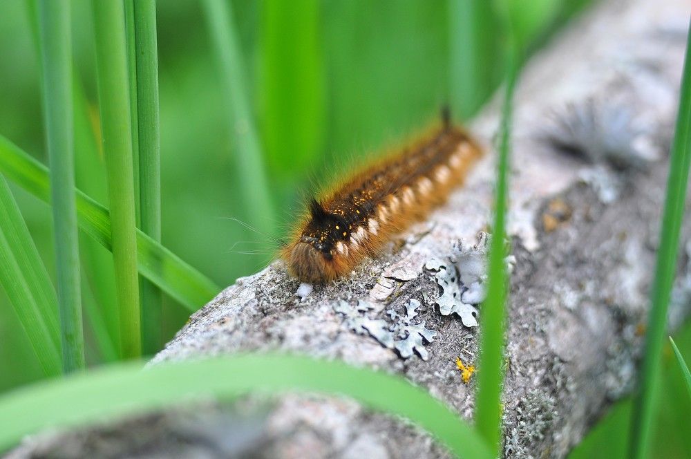 Photograph by Юрий Яковлев