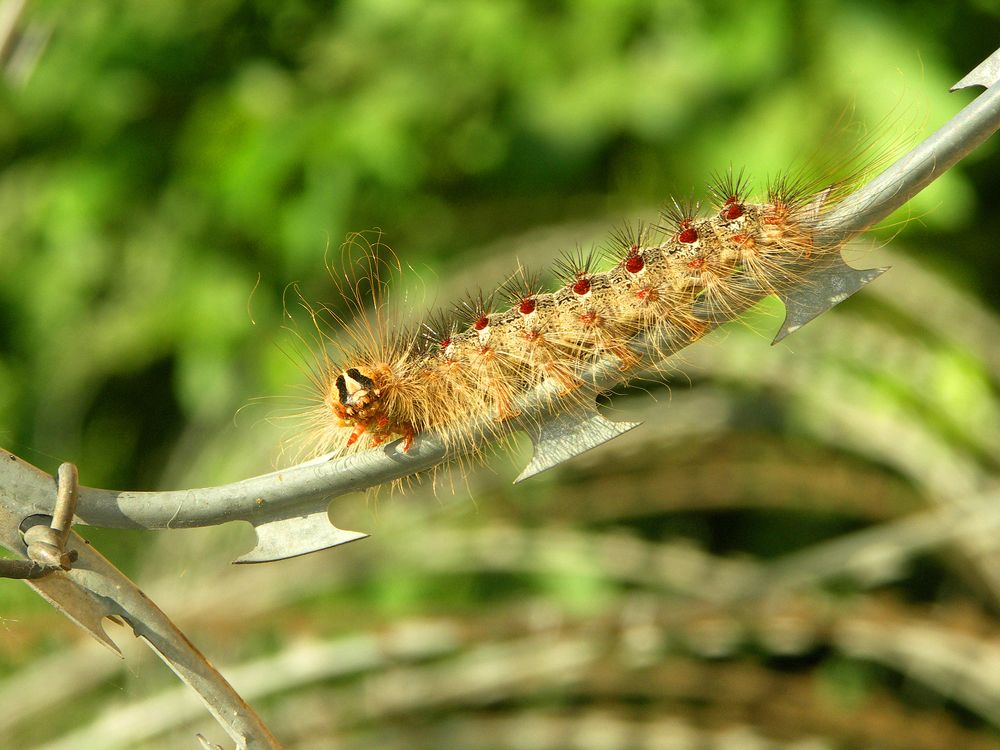 Photograph by Юрий Яковлев