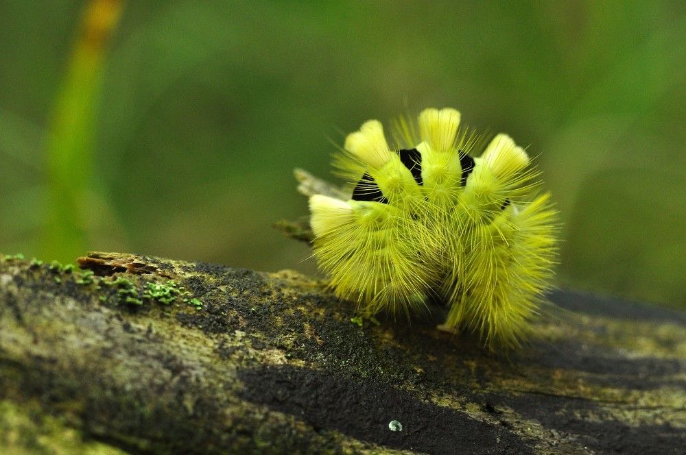 Photograph by Юрий Яковлев