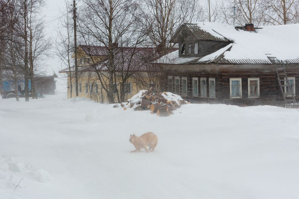 Photograph by Александр Кузнецов