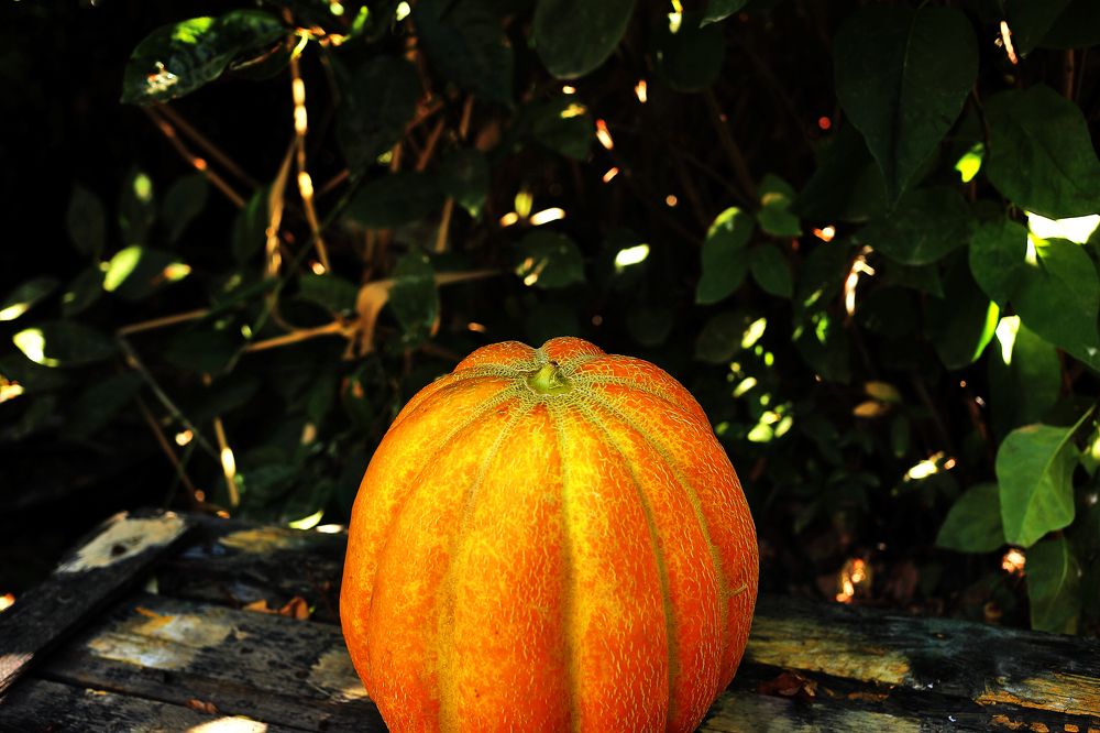 Photograph by Юрий Гайворонский