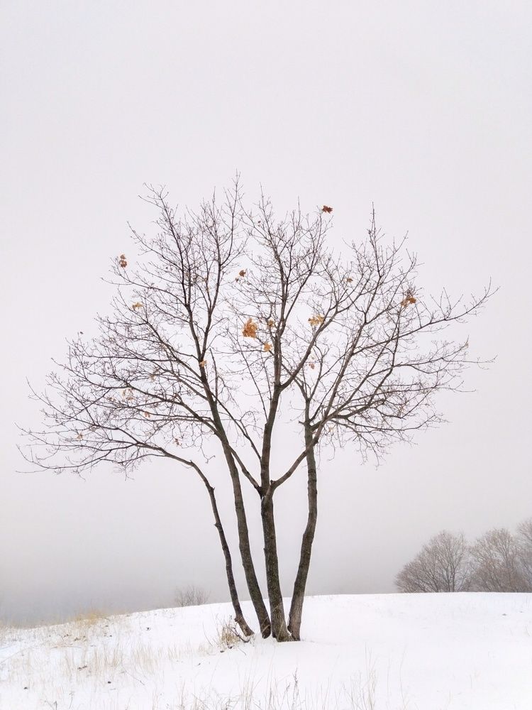 Photograph by Ольга Чернова
