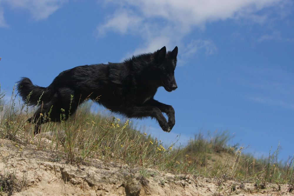 Фотография автора Надежда Лисицына