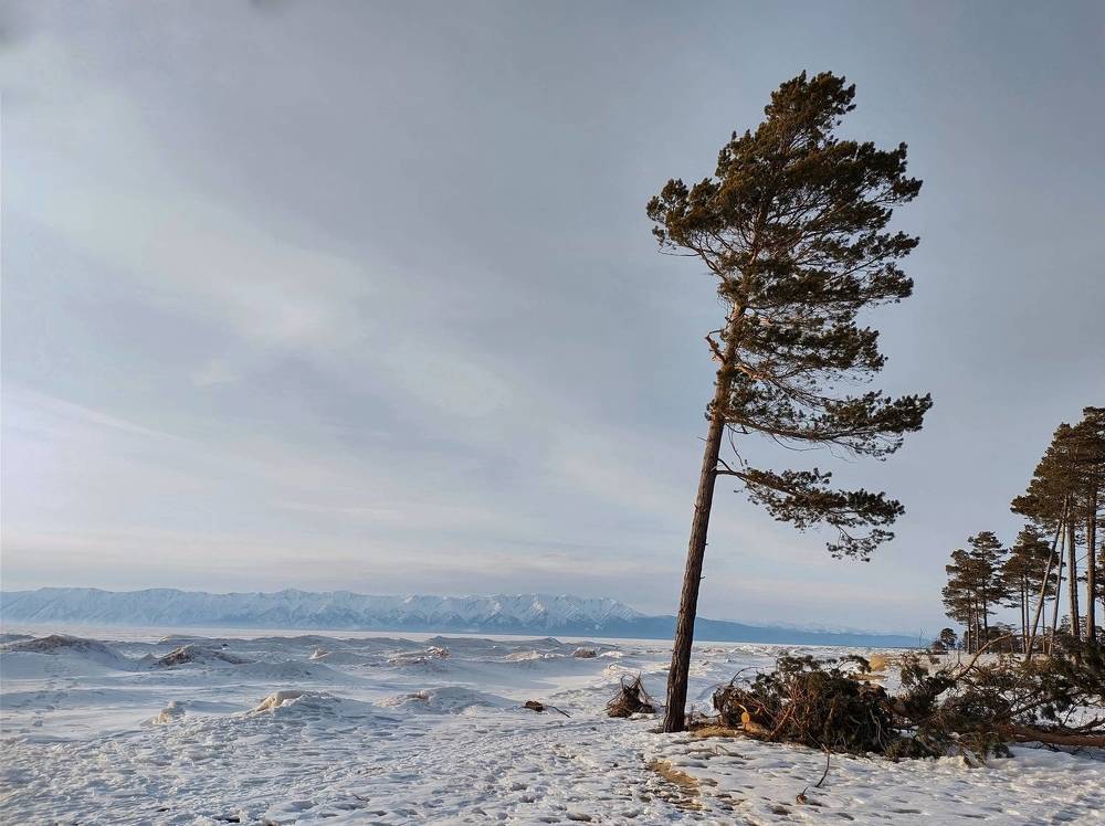 Photograph by Оксана Лоншакова