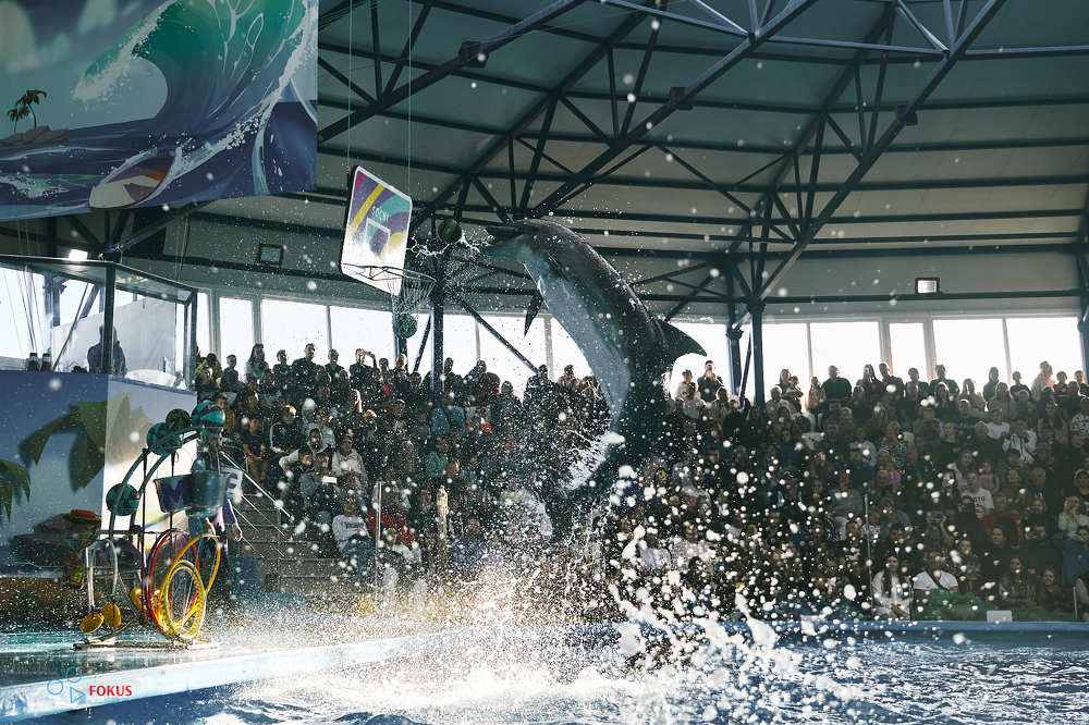 Photograph by Денис Некрасов