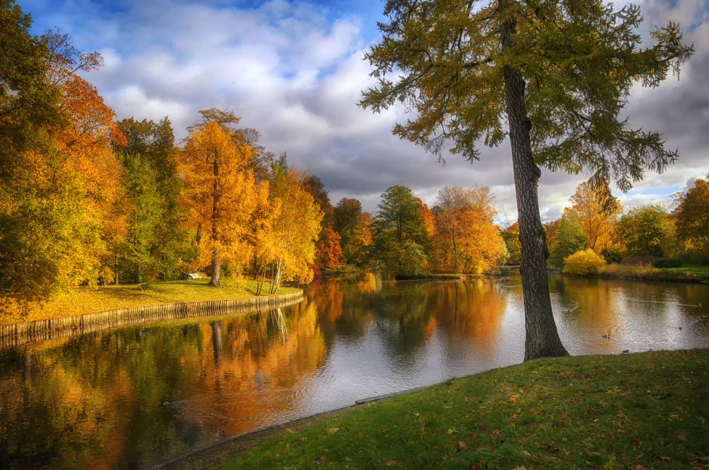 Краски осени