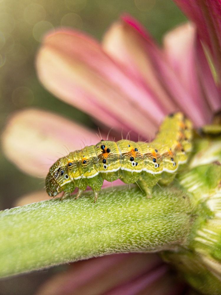 Photograph by Людмила Коныгина