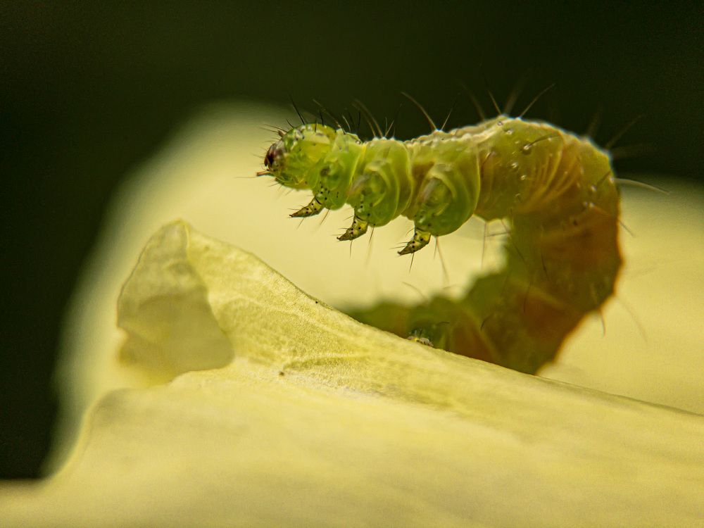 Photograph by Людмила Коныгина