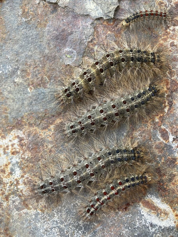 Photograph by Людмила Коныгина