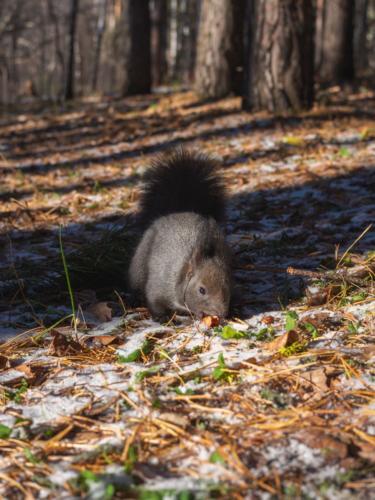 Photograph by Алик Мелконян