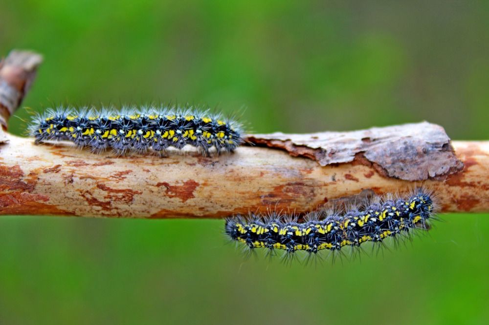 Photograph by Юлия Иванова