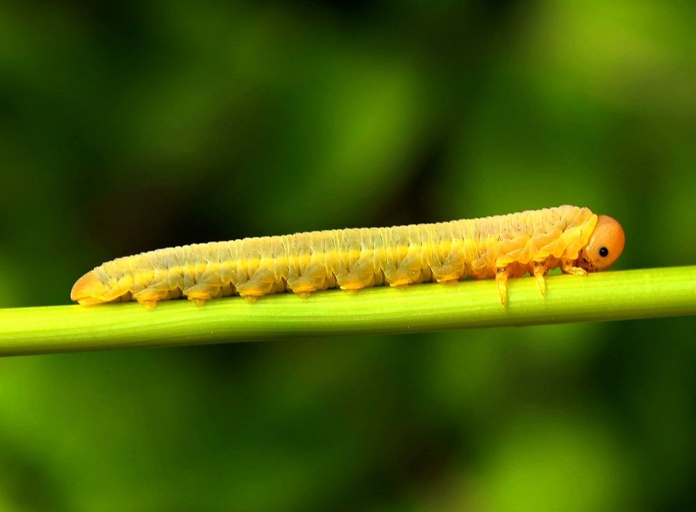 Photograph by Юлия Иванова