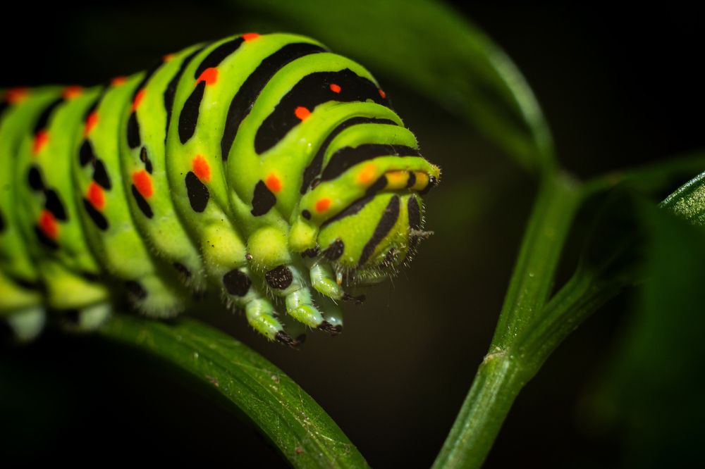 Photograph by Мади Балтабаев