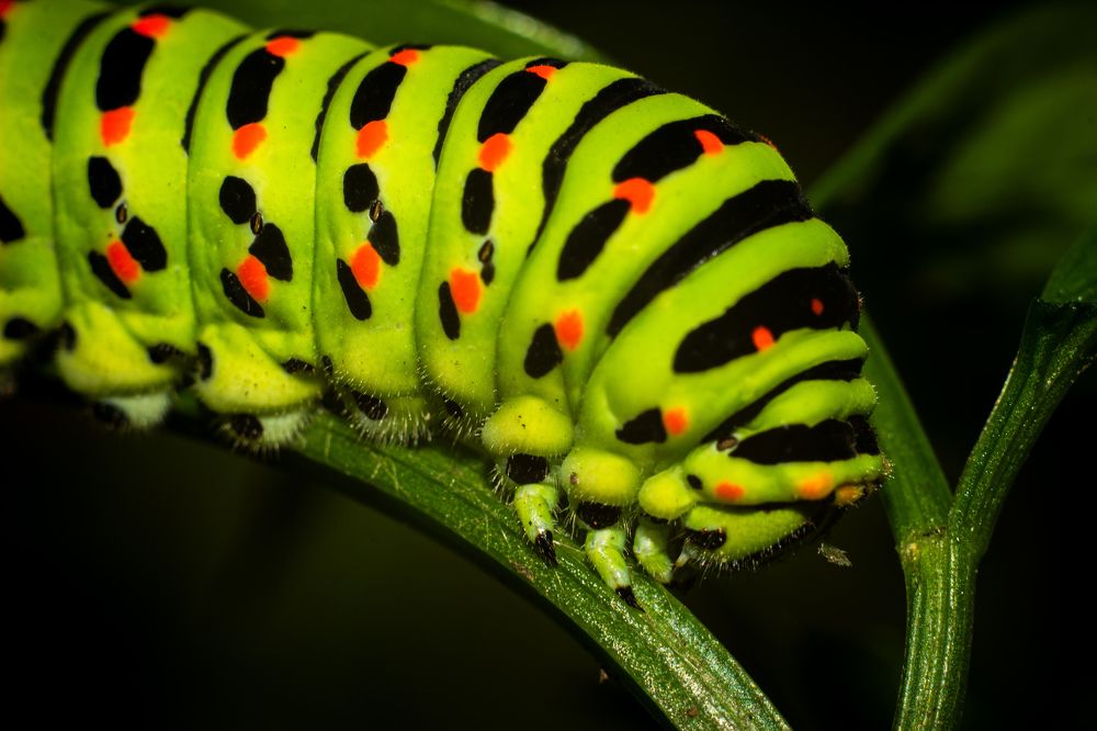 Photograph by Мади Балтабаев