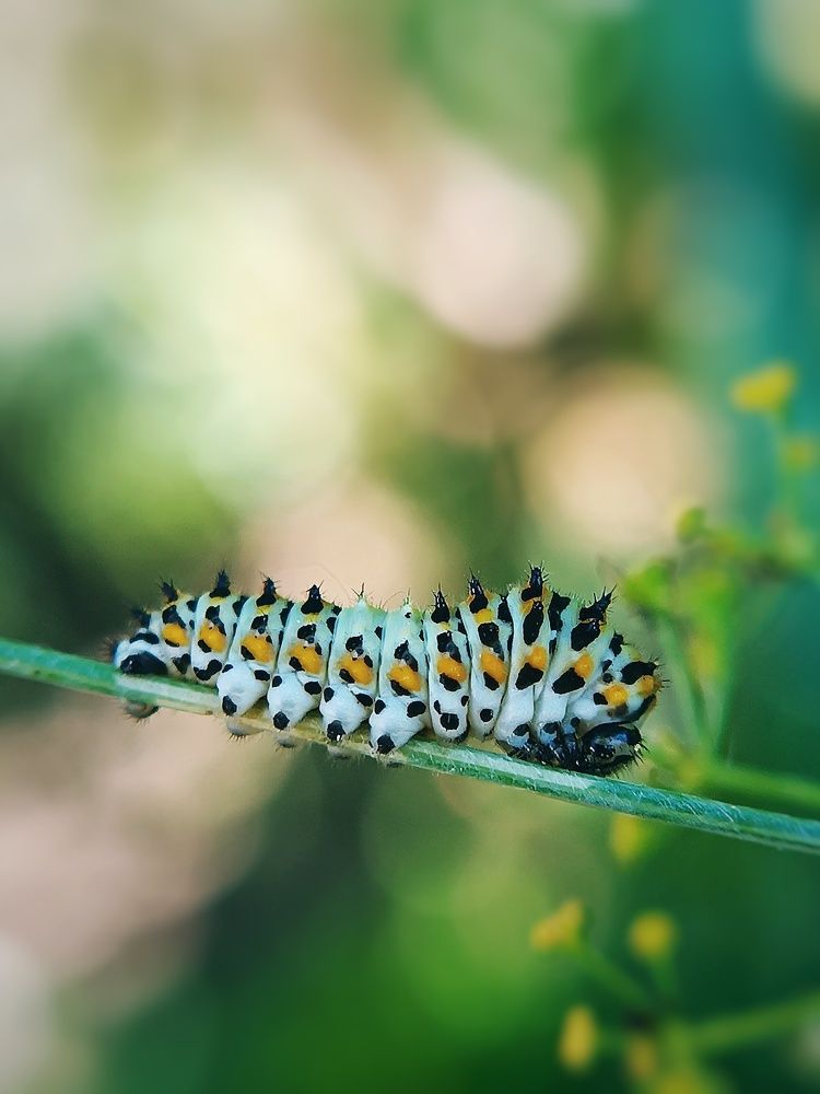 Photograph by Кристина Панченко