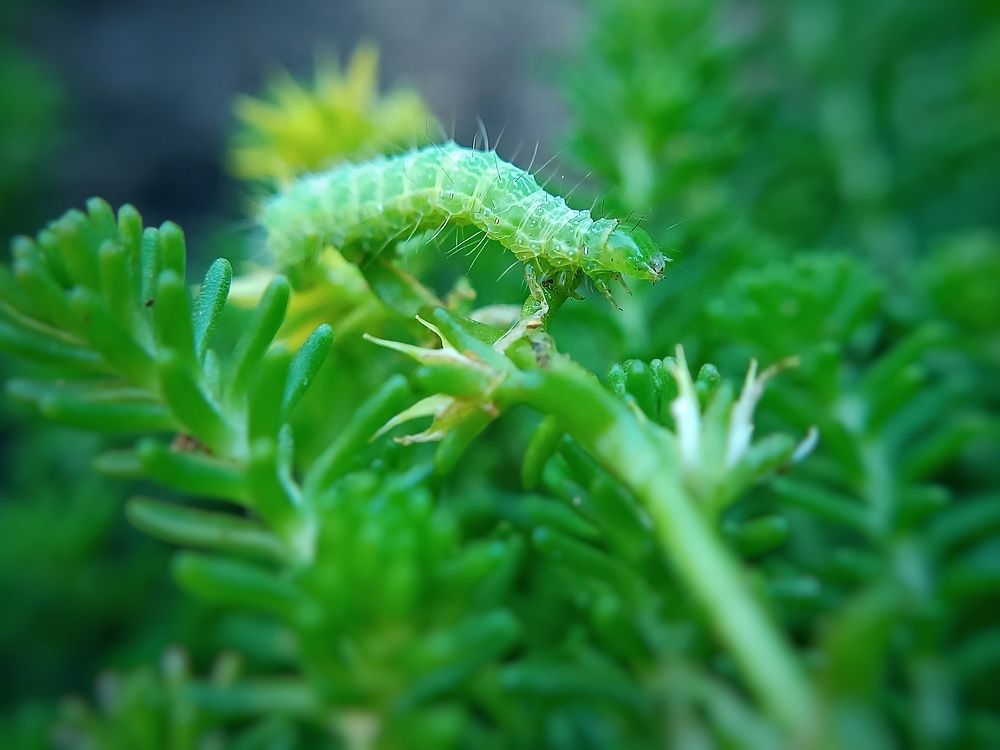 Photograph by Кристина Панченко