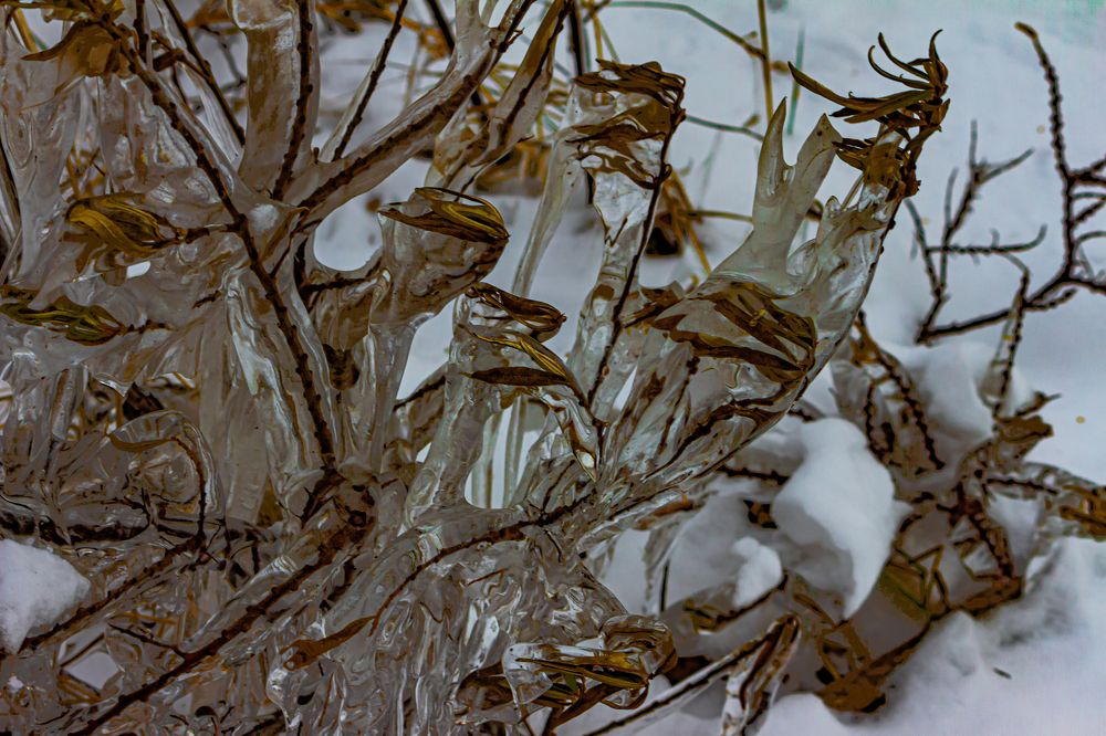 Photograph by Ольга Ильина