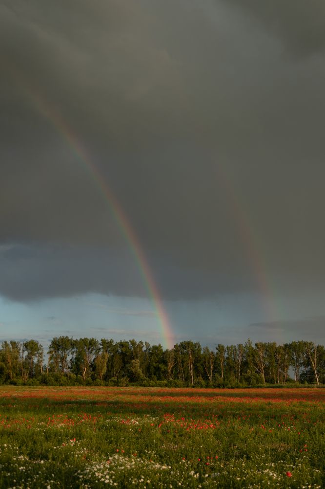 Photograph by Lera Sayapina