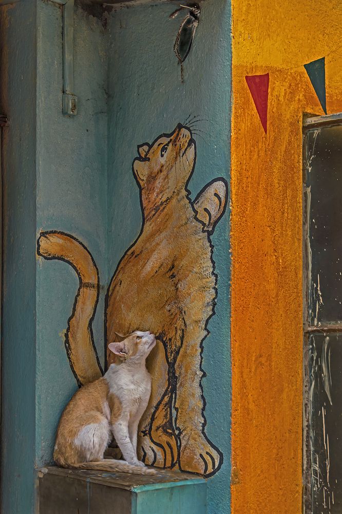 Photograph by Saumi Biswas