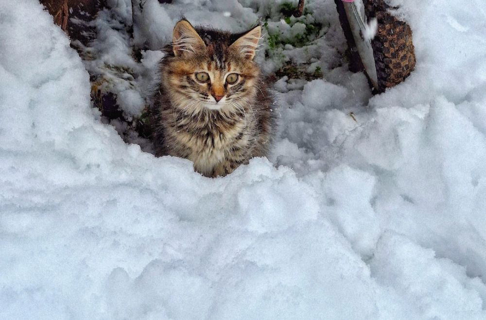 Photograph by Марина Мальцева