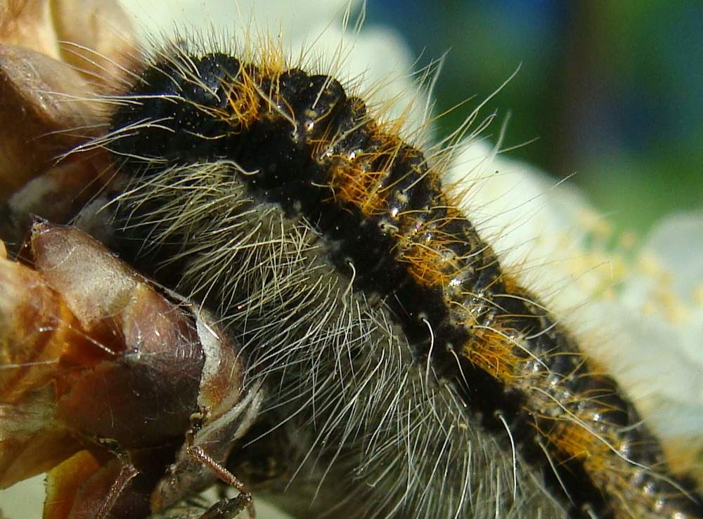 Фотография автора Павел Попов