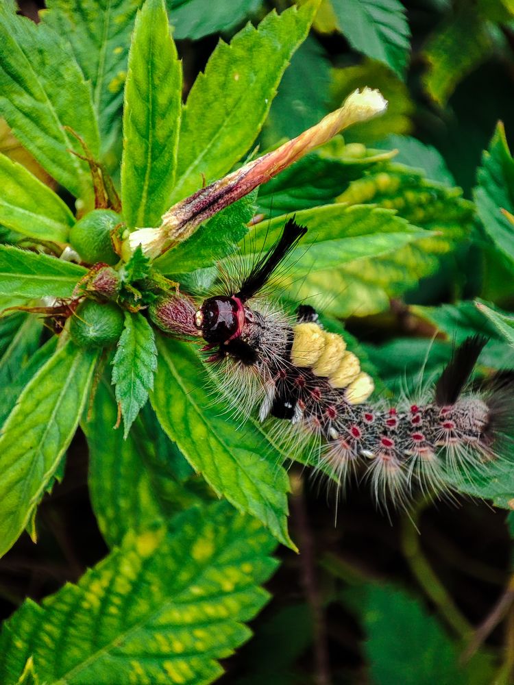 Photograph by Meilany Wijaya