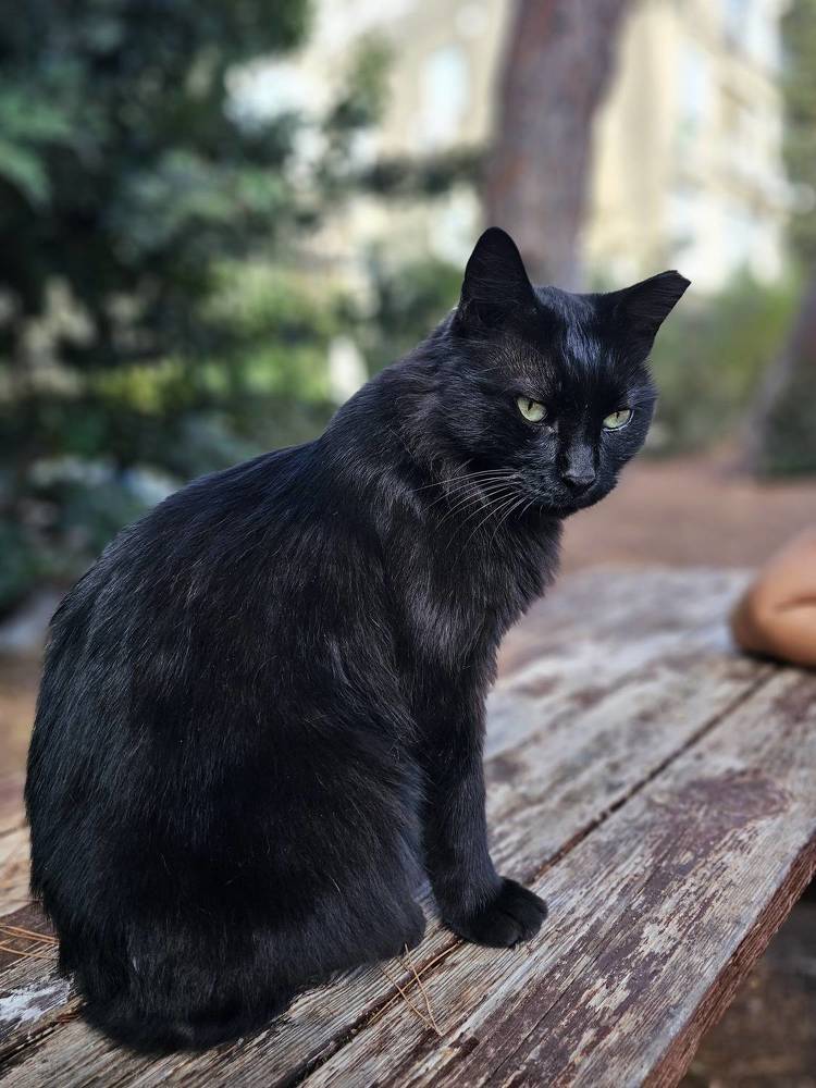 Фотография автора Oksana Podgorodetska