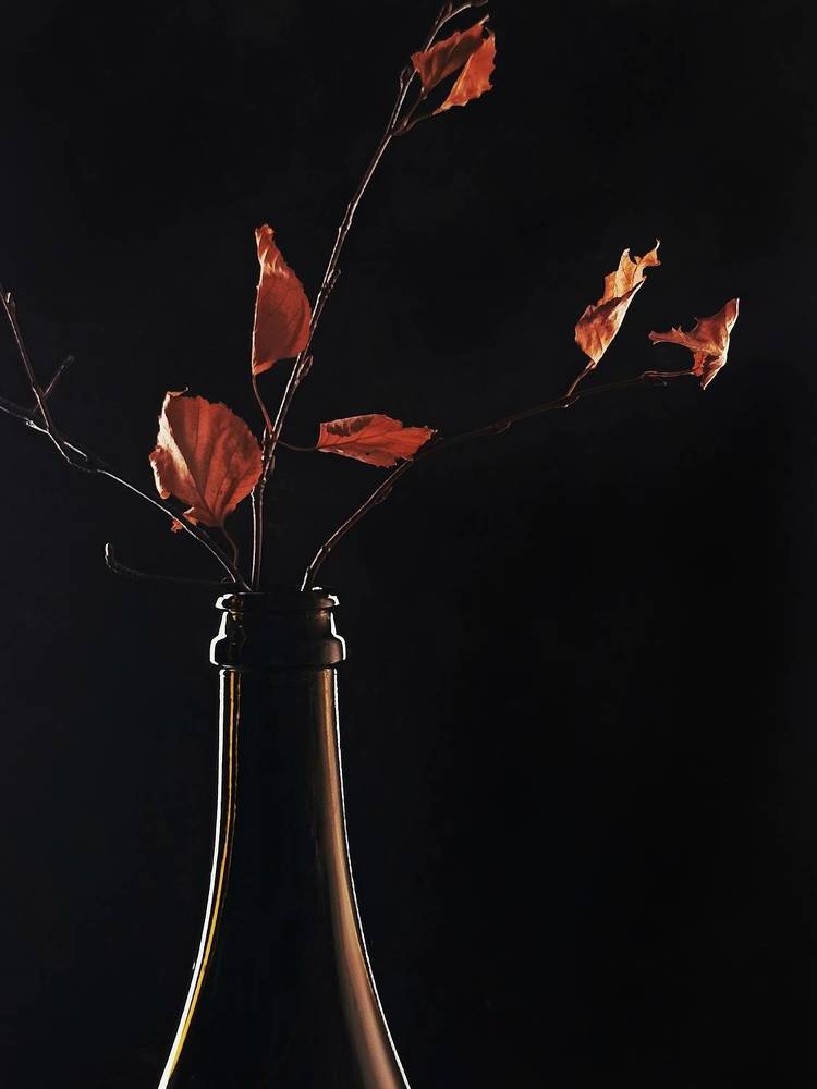 Фотография автора Татьяна Шахова