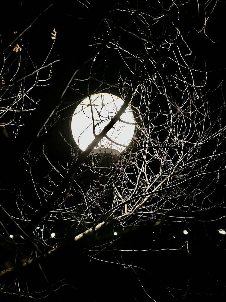 Photograph by Ольга Белоусова