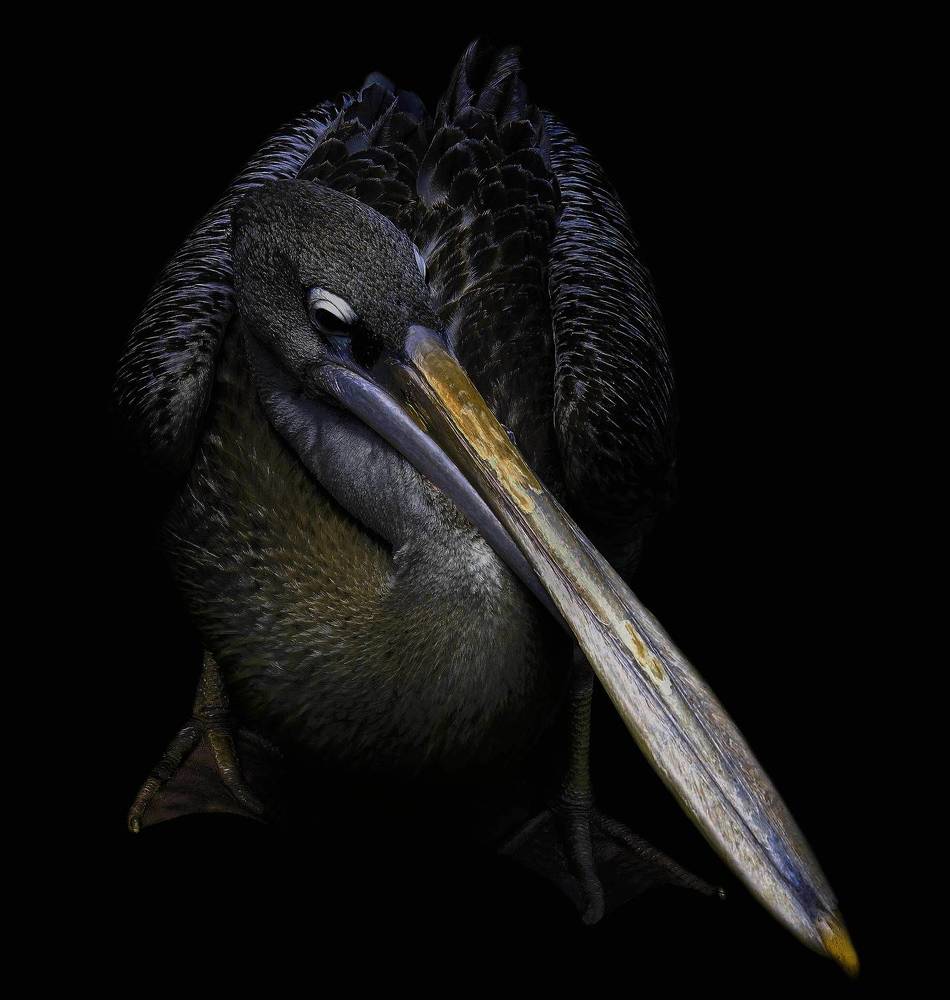 Photograph by Raed Victor Saad