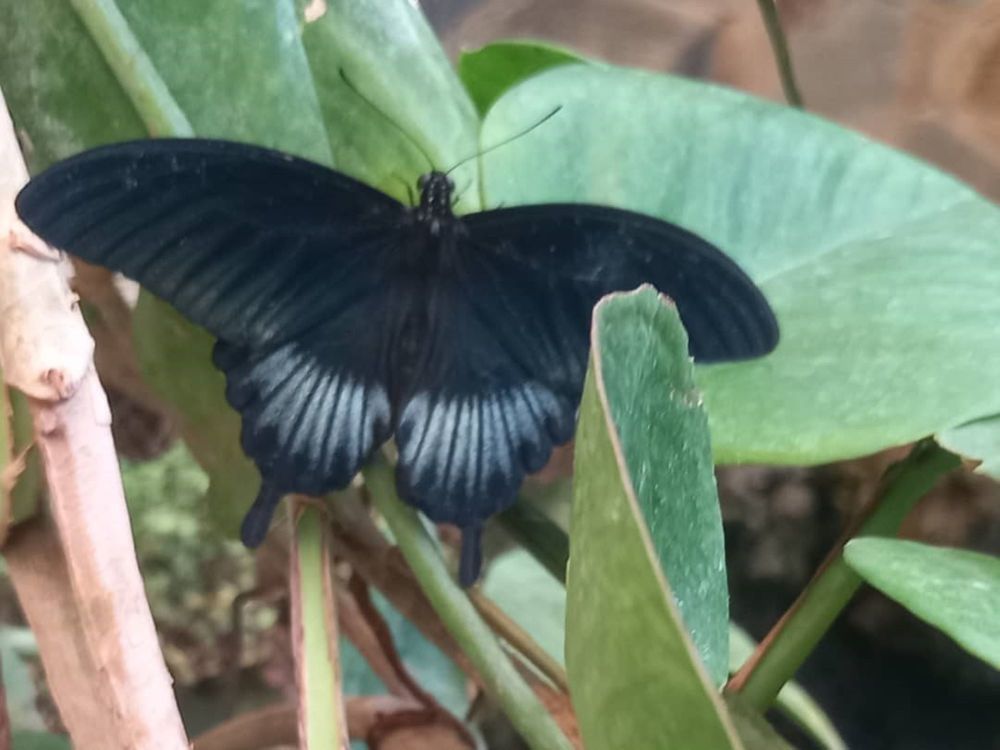 Фотография автора Nieves Gloria Alvarez Diaz