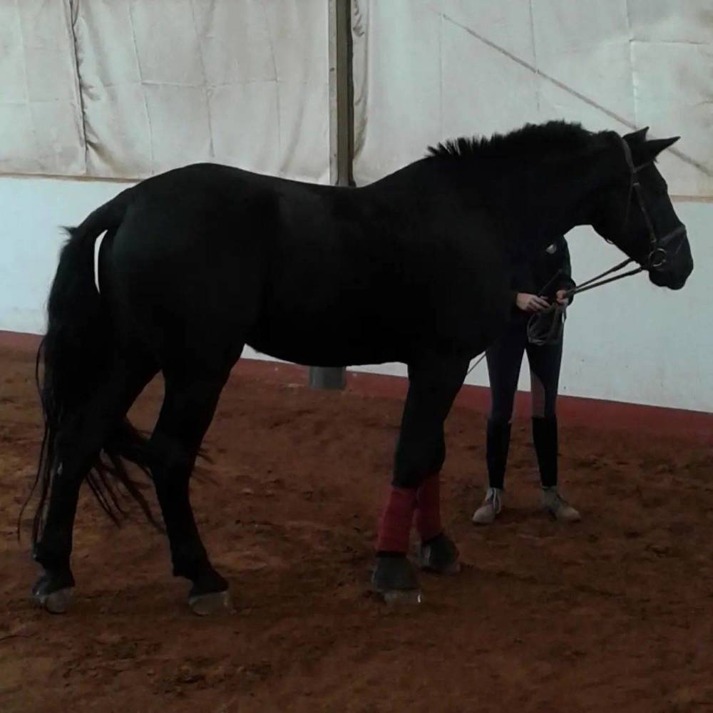 Фотография автора Nieves Gloria Alvarez Diaz