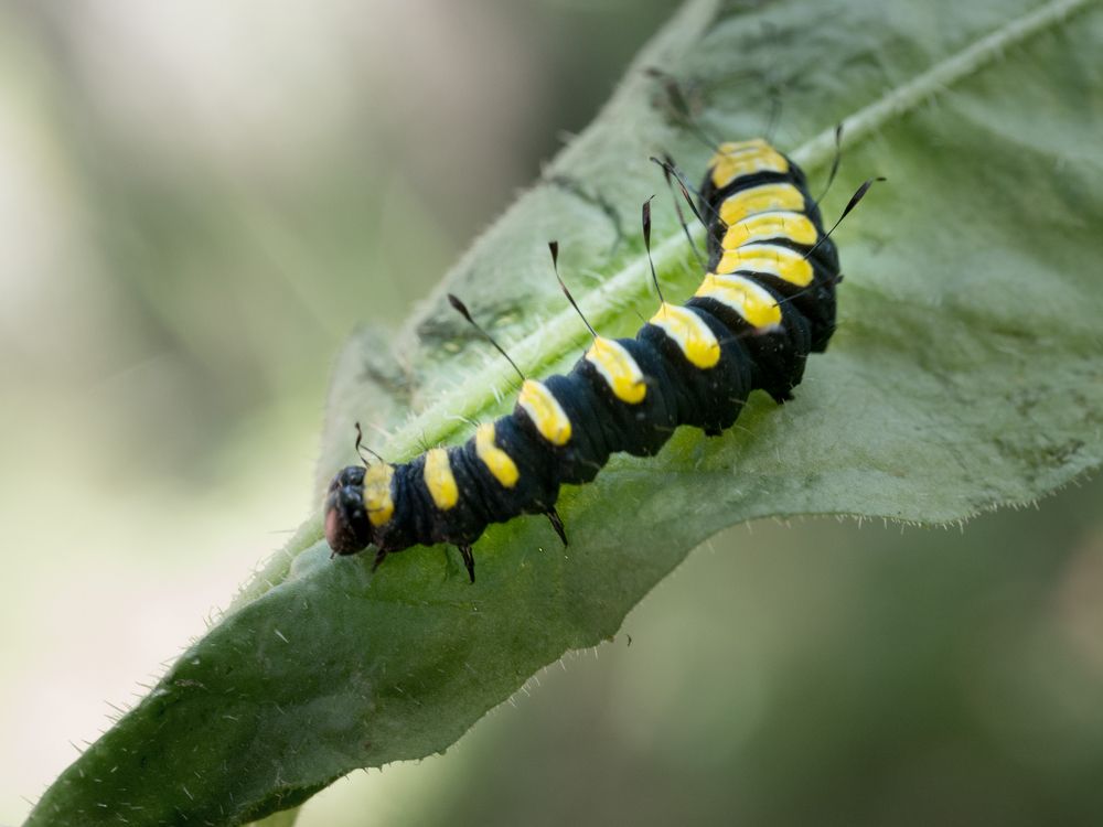 Photograph by Руслан Гончар